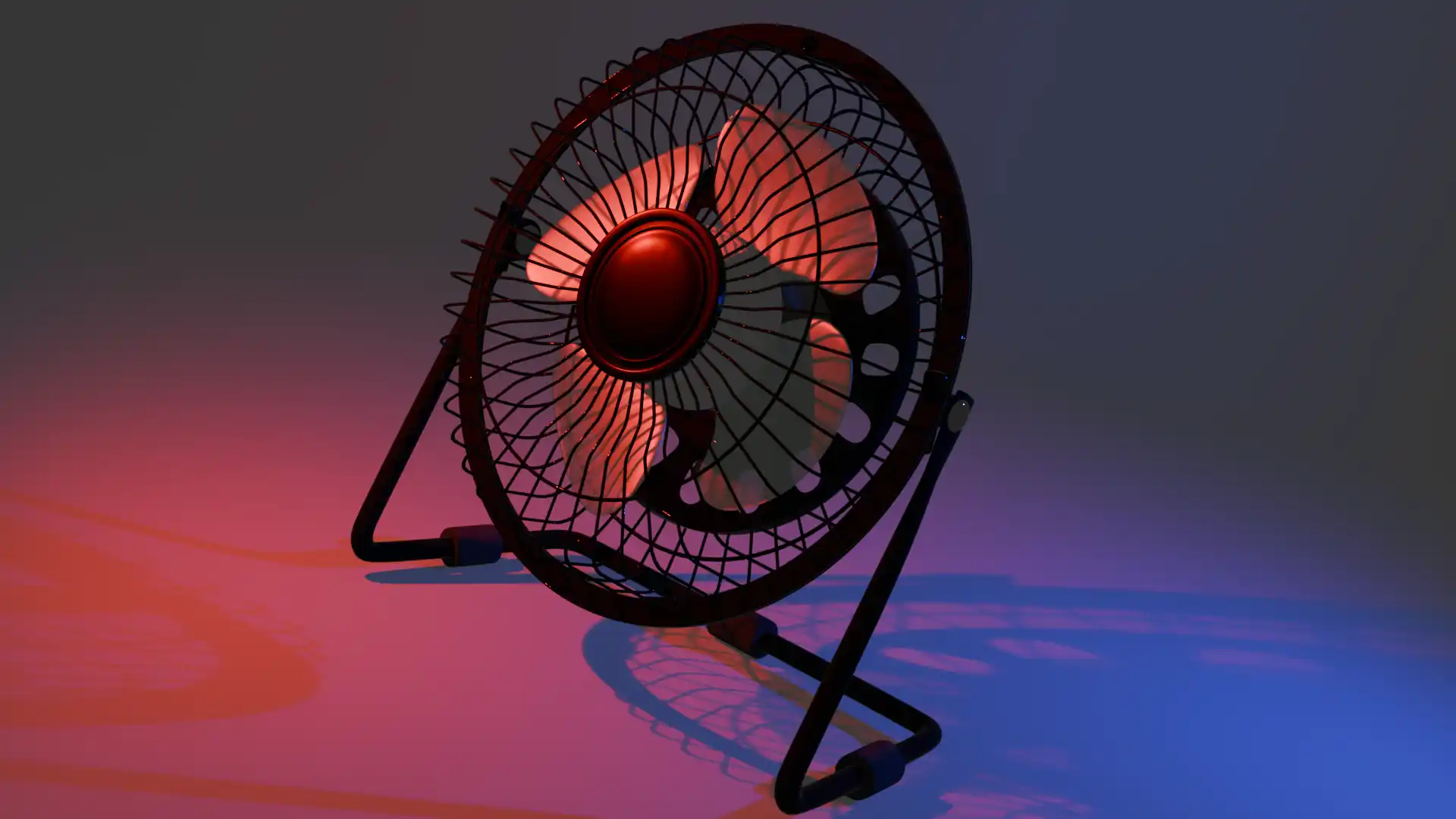 Fan